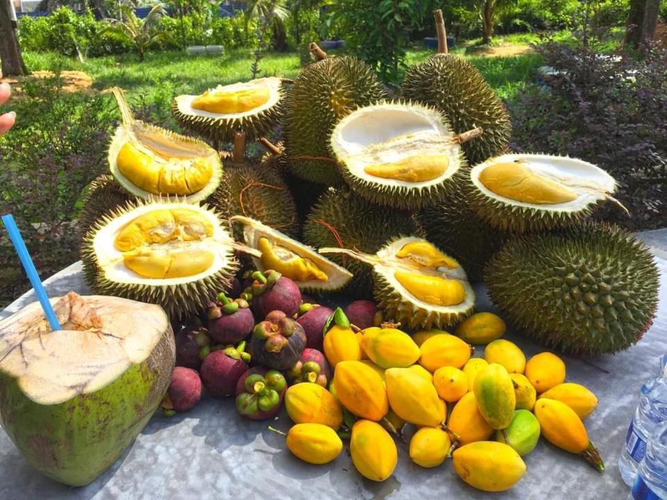 Durian Ecolodge Тампін Екстер'єр фото